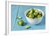 Fresh Brussels Sprouts in White Bowl on Turquoise Wooden Table-Jana Ihle-Framed Photographic Print