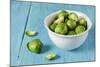 Fresh Brussels Sprouts in White Bowl on Turquoise Wooden Table-Jana Ihle-Mounted Photographic Print