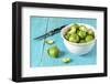 Fresh Brussels Sprouts in White Bowl on Turquoise Wooden Table-Jana Ihle-Framed Photographic Print