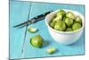 Fresh Brussels Sprouts in White Bowl on Turquoise Wooden Table-Jana Ihle-Mounted Photographic Print