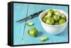 Fresh Brussels Sprouts in White Bowl on Turquoise Wooden Table-Jana Ihle-Framed Stretched Canvas