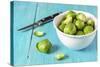 Fresh Brussels Sprouts in White Bowl on Turquoise Wooden Table-Jana Ihle-Stretched Canvas