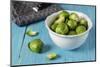 Fresh Brussels Sprouts in White Bowl on Turquoise Wooden Table-Jana Ihle-Mounted Photographic Print