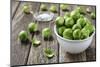 Fresh Brussels Sprouts in White Bowl on Wooden Table-Jana Ihle-Mounted Photographic Print