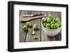 Fresh Brussels Sprouts in White Bowl on Wooden Table-Jana Ihle-Framed Photographic Print