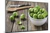 Fresh Brussels Sprouts in White Bowl on Wooden Table-Jana Ihle-Mounted Photographic Print