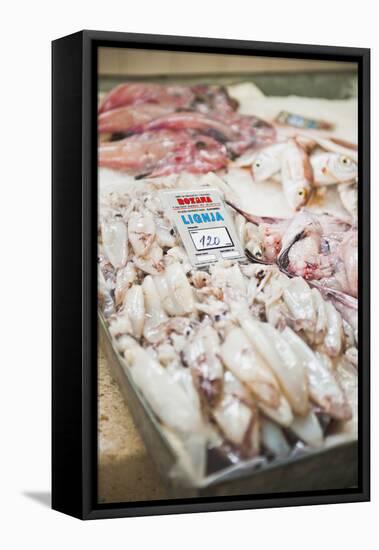 Fresh Calamari (Squid) in Split Fish Market, Split, Dalmatia, Croatia, Europe-Matthew Williams-Ellis-Framed Stretched Canvas