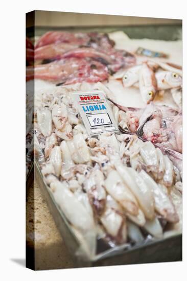 Fresh Calamari (Squid) in Split Fish Market, Split, Dalmatia, Croatia, Europe-Matthew Williams-Ellis-Stretched Canvas