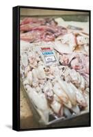 Fresh Calamari (Squid) in Split Fish Market, Split, Dalmatia, Croatia, Europe-Matthew Williams-Ellis-Framed Stretched Canvas