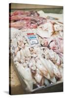 Fresh Calamari (Squid) in Split Fish Market, Split, Dalmatia, Croatia, Europe-Matthew Williams-Ellis-Stretched Canvas