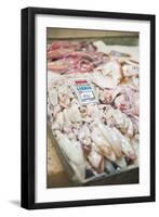 Fresh Calamari (Squid) in Split Fish Market, Split, Dalmatia, Croatia, Europe-Matthew Williams-Ellis-Framed Photographic Print