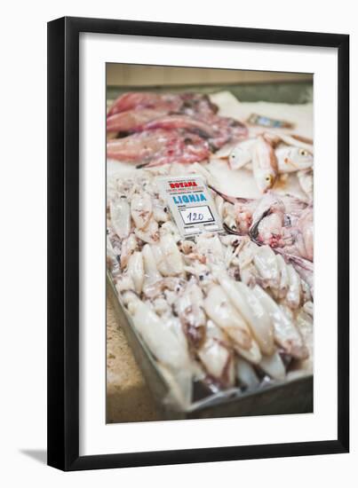 Fresh Calamari (Squid) in Split Fish Market, Split, Dalmatia, Croatia, Europe-Matthew Williams-Ellis-Framed Photographic Print