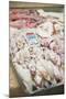 Fresh Calamari (Squid) in Split Fish Market, Split, Dalmatia, Croatia, Europe-Matthew Williams-Ellis-Mounted Photographic Print