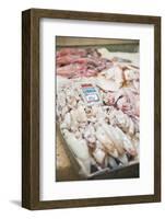 Fresh Calamari (Squid) in Split Fish Market, Split, Dalmatia, Croatia, Europe-Matthew Williams-Ellis-Framed Photographic Print