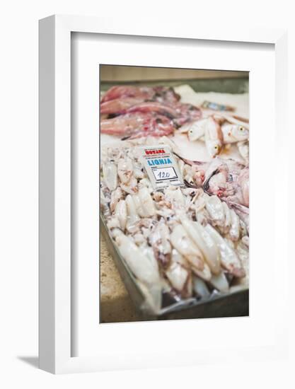 Fresh Calamari (Squid) in Split Fish Market, Split, Dalmatia, Croatia, Europe-Matthew Williams-Ellis-Framed Photographic Print