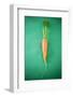 Fresh Carrot on Green Background-Foodcollection-Framed Photographic Print