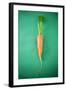 Fresh Carrot on Green Background-Foodcollection-Framed Photographic Print