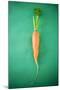 Fresh Carrot on Green Background-Foodcollection-Mounted Photographic Print