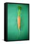 Fresh Carrot on Green Background-Foodcollection-Framed Stretched Canvas