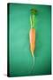 Fresh Carrot on Green Background-Foodcollection-Stretched Canvas