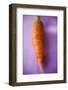 Fresh Carrot on Purple Background-Foodcollection-Framed Photographic Print