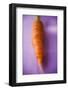 Fresh Carrot on Purple Background-Foodcollection-Framed Photographic Print