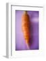 Fresh Carrot on Purple Background-Foodcollection-Framed Photographic Print