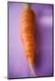 Fresh Carrot on Purple Background-Foodcollection-Mounted Photographic Print