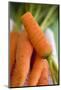 Fresh Carrots on Tea Towel (Close-Up)-Foodcollection-Mounted Photographic Print