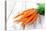 Fresh Carrots on Wooden Background-Kesu01-Stretched Canvas