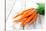 Fresh Carrots on Wooden Background-Kesu01-Stretched Canvas