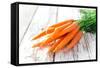 Fresh Carrots on Wooden Background-Kesu01-Framed Stretched Canvas