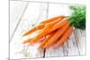 Fresh Carrots on Wooden Background-Kesu01-Mounted Photographic Print