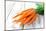 Fresh Carrots on Wooden Background-Kesu01-Mounted Photographic Print