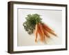 Fresh Carrots with Tops-Amos Schliack-Framed Photographic Print