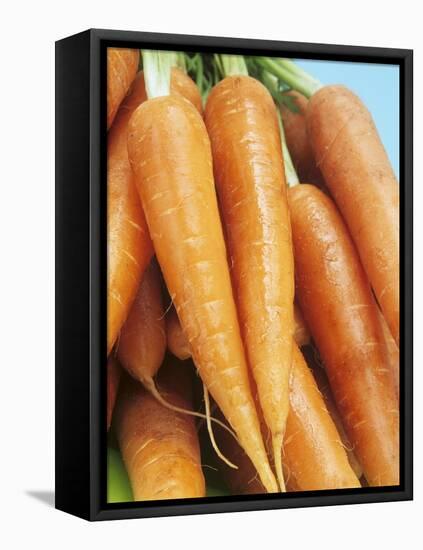 Fresh Carrots-Linda Burgess-Framed Stretched Canvas