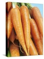 Fresh Carrots-Linda Burgess-Stretched Canvas