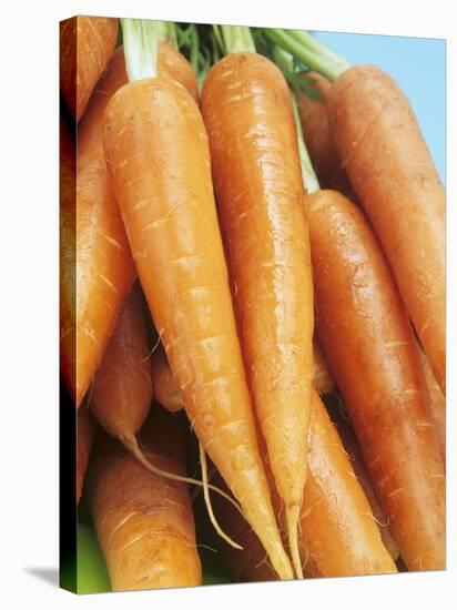 Fresh Carrots-Linda Burgess-Stretched Canvas