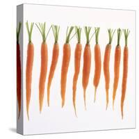 Fresh Carrots-Barbara Bonisolli-Stretched Canvas