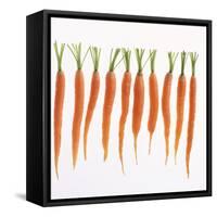 Fresh Carrots-Barbara Bonisolli-Framed Stretched Canvas