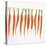 Fresh Carrots-Barbara Bonisolli-Stretched Canvas