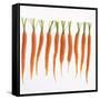 Fresh Carrots-Barbara Bonisolli-Framed Stretched Canvas