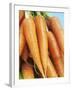 Fresh Carrots-Linda Burgess-Framed Photographic Print