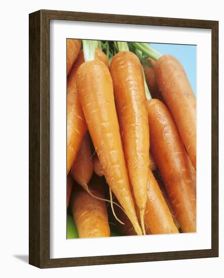 Fresh Carrots-Linda Burgess-Framed Photographic Print