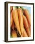 Fresh Carrots-Linda Burgess-Framed Photographic Print