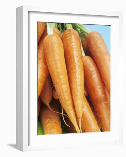 Fresh Carrots-Linda Burgess-Framed Photographic Print