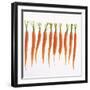 Fresh Carrots-Barbara Bonisolli-Framed Photographic Print