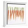 Fresh Carrots-Barbara Bonisolli-Framed Photographic Print