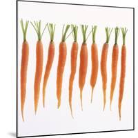 Fresh Carrots-Barbara Bonisolli-Mounted Photographic Print