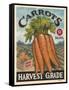 Fresh Carrots-K. Tobin-Framed Stretched Canvas